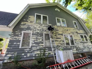 Exterior Painting in rpogress